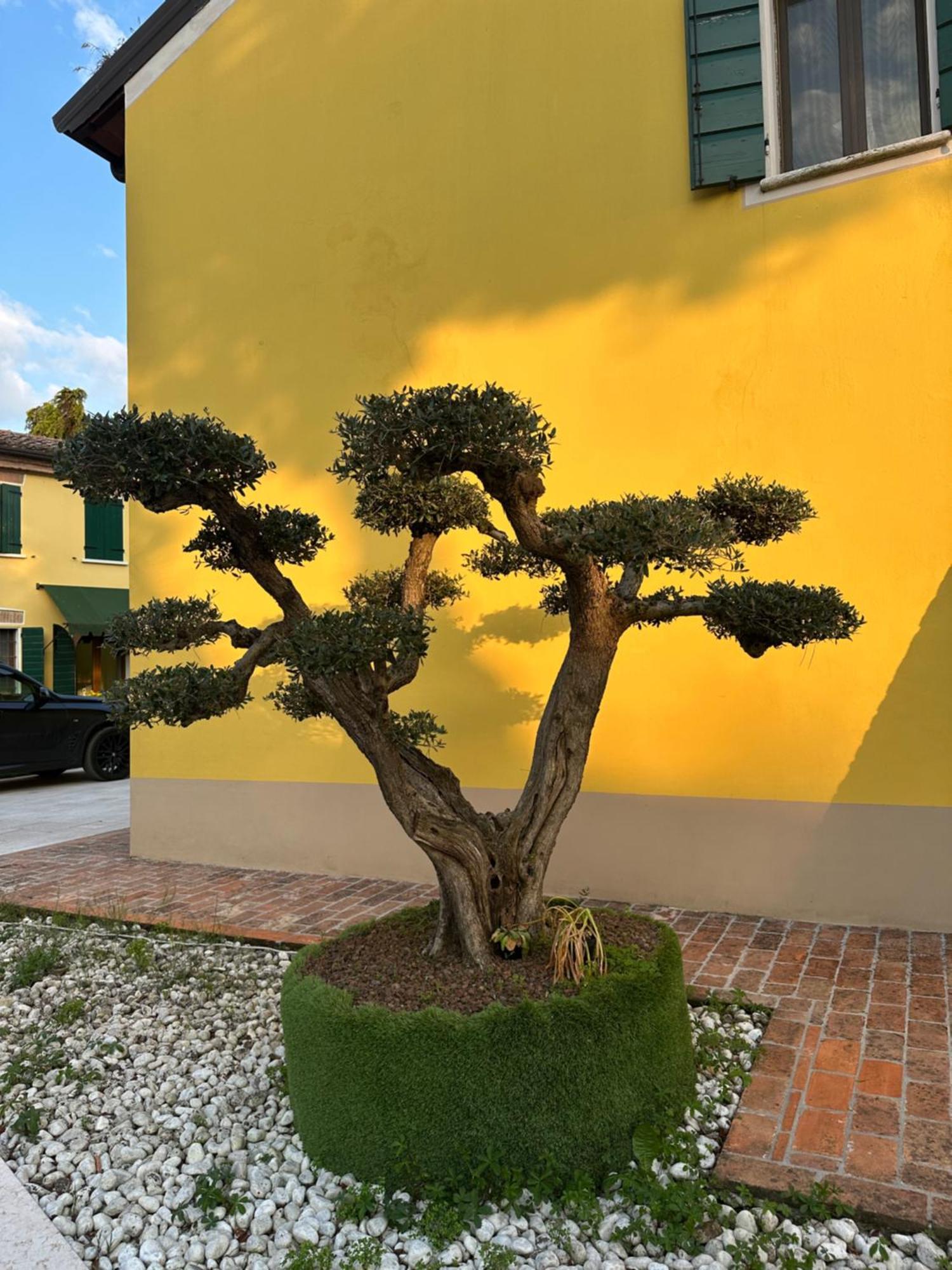 Agriturismo Corte Capiluppia Curtatone Eksteriør billede
