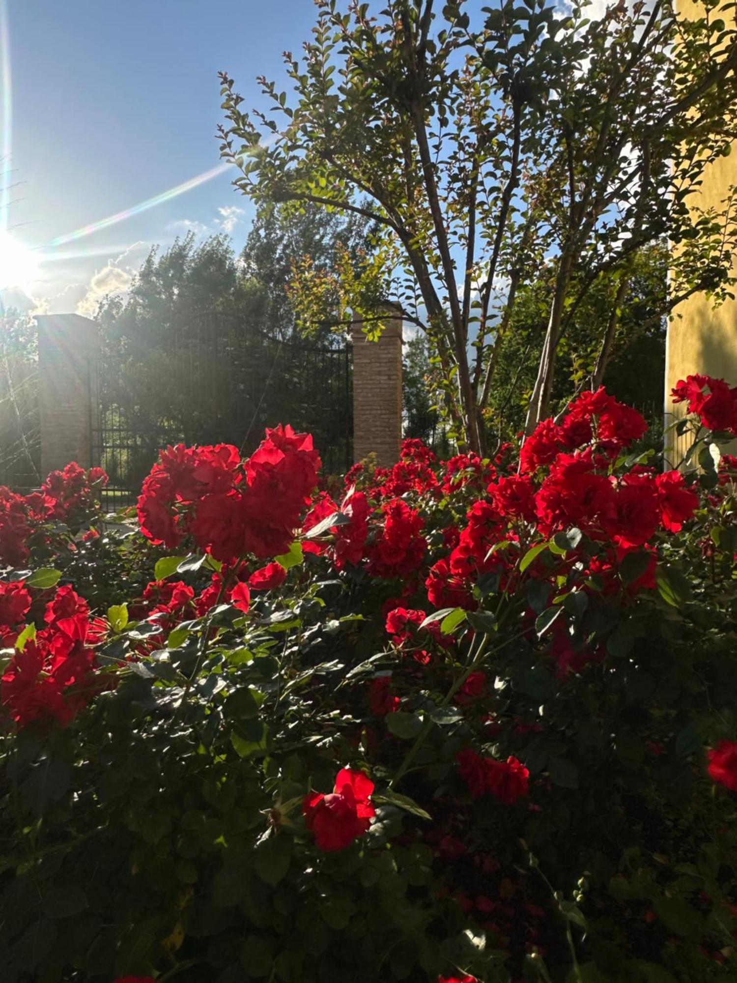 Agriturismo Corte Capiluppia Curtatone Eksteriør billede